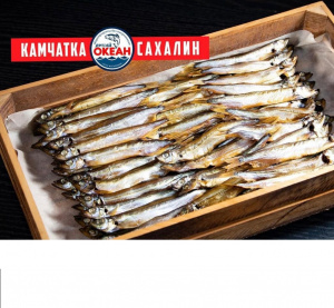 WhatsApp Image 2023-10-23 at 09.06.10 (2)